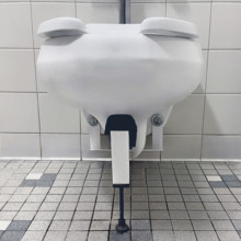 Hospital toilet with support leg