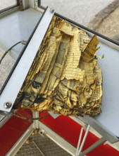 Tattered and torn phone book inside old telephone booth