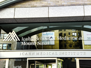 Icahn Medical Institute at Icahn School of Medicine at Mount Sinai, Manhattan, New York City