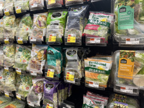 Assortment of pre-packaged organic lettuce on store shelves, New York City