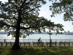 Bicyclist on westside bike path along Hudson River with view of New Jersey in background, Manhattan, New York City