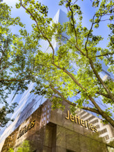 Jefferies investment banking and capital markets firm, New York City