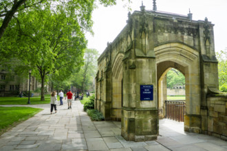 Anne T. & Robert M. Bass Library, Yale University, New Haven