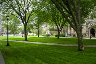 Campus Scene, Yale University, New Haven