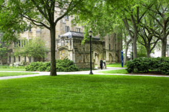 Anne T. & Robert M. Bass Library, Yale University, New Haven