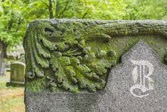 Moss covered headstone with ornate carvings