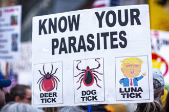 Demonstrators participating in "No Kings" Protest March, Times Square, Manhattan, New York City,