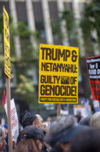 Demonstrators participating in "No Kings" Protest March, Times Square, Manhattan, New York City,
