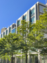 Koch Biology Building, building exterior, MIT Department of Biology, building 68, 31 Ames Street,