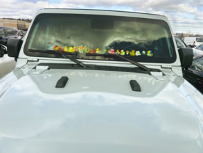 Collection of rubber ducks on Jeep dashboard