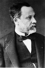 Pasteur Louis