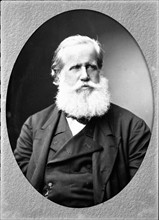 Pedro II, Empereur du Brésil