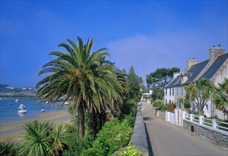 Island of Batz, Finistère