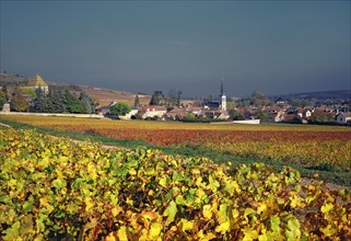 Santenay, Côte-d'Or