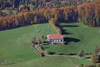 Isolated farm in the nature, Jura
