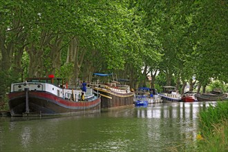 Le canal du Midi, Hérault
