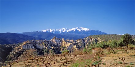 Ille-sur-Têt, Pyrénées-Orientales