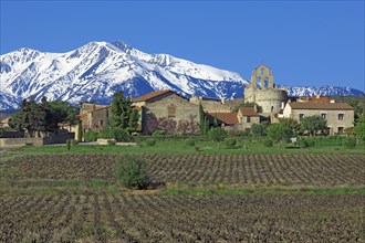 Sainte-Colombe-de-la-Commanderie, Pyrénées-Orientales