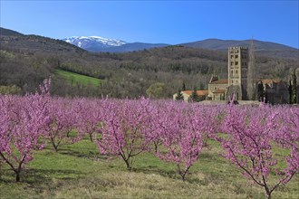Abbaye Saint-Michel de Cuxa, Pyrénées-Orientales