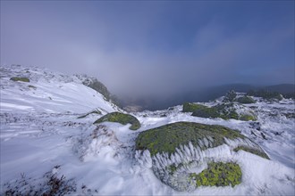 Le mont Lozère en hiver, Lozère