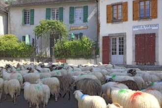 Bedous, Pyrénées-Atlantiques