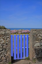 Door overlooking the blue sea and hydrangea bed, Manche