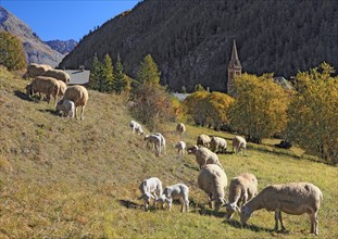 Villar-d'Arène, Hautes-Alpes