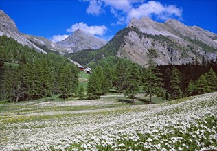 Ceillac, Hautes-Alpes