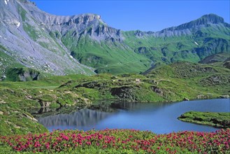 Lac de montagne, Haute-Savoie