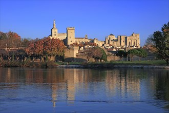 Avignon, Vaucluse