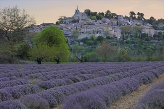 Ahed village located in the Luberon, Vaucluse