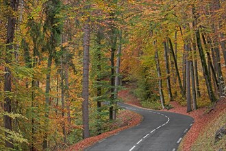 Route avec virage dans forêt en automne, Haute-Savoie