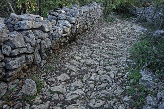 Sentier en pierre naturelle, Ardèche