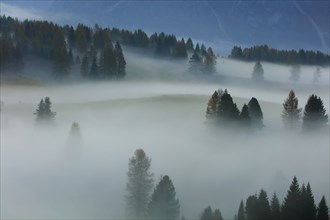 Alpe de Suisi, Dolomites, Italie