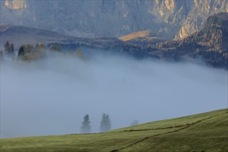 Alpe de Suisi, Dolomites, Italie