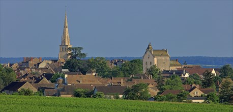 Meursault, Côte d'Or