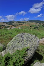 Landscape in Lozère