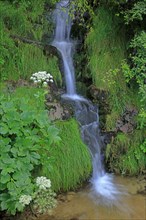 Waterfall in Lozère
