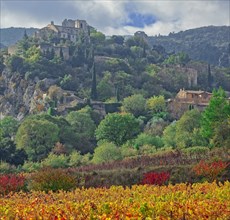 France, Vaucluse (84) Oppède, le vieux village perché vu depuis le vignoble et les vergers, en