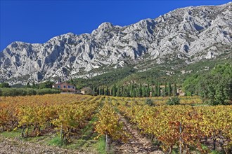 La montagne Sainte-Victoire, Bouches-du-Rhône