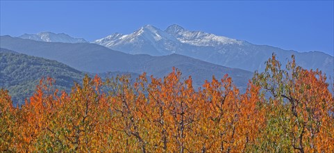 Massif du Canigou, Pyrénées-Orientales