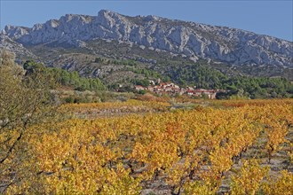 Vingrau, Pyrénées-Orientales