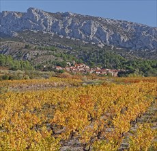 Vingrau, Pyrénées-Orientales