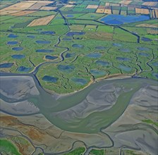 The Baie d'Authie, Somme, France