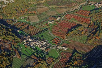 Paysage de verger, Drôme