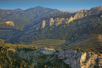 Les Dentelles de Montmirail, Vaucluse