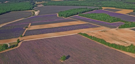 Plateau de Valensole, Alpes-de-Haute-Provence