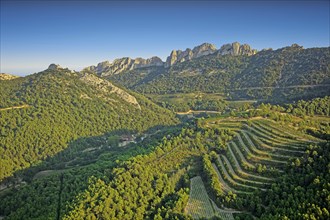 Les Dentelles de Montmirail, Vaucluse