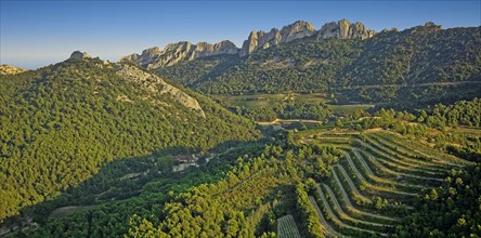 Les Dentelles de Montmirail, Vaucluse