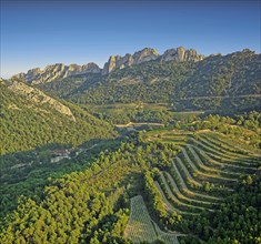 Les Dentelles de Montmirail, Vaucluse